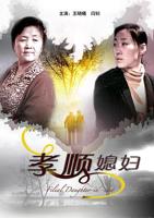 《孝顺媳妇》完整版韩剧百度云免费流畅播放超清