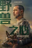 野兽之心2026免费中字国语