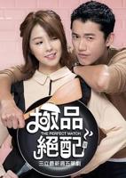 《极品绝配》电视剧在线观看免费超清未删减版