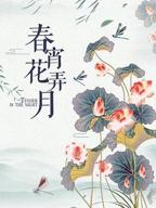 《春宵花弄月台湾版演员表》免费手机在线4K高清