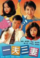 美剧《一夫三妻》第一季在线播放免费观看全集高清正片